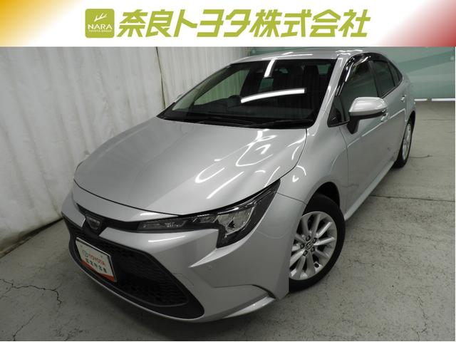 ȥ西  ӡģʥӡߥۥ롡̣ţĥإåɥ