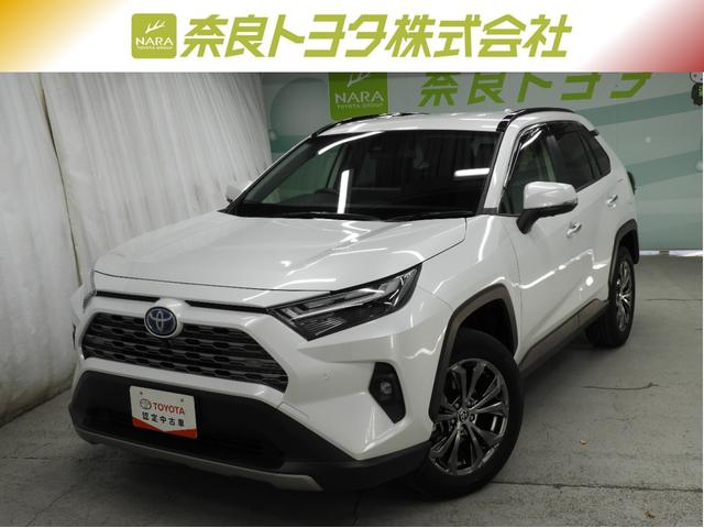 ȥ西 ң֣ ϥ֥åɣǡǥץ쥤ǥʥӡѥΥߥåӥ塼˥֥饤ɥݥåȥ˥