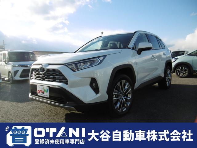 ＲＡＶ４(トヨタ) Ｇ　Ｚパッケージ　４ＷＤ　クリアランスソナー　オートクルーズコントロール　レーンアシスト　パワーシート 中古車画像