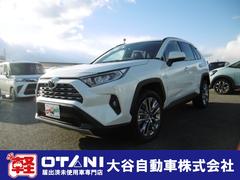 トヨタ　ＲＡＶ４　Ｇ　Ｚパッケージ　４ＷＤ　全周囲カメラ