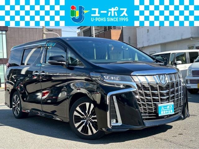 ȥ西 ե ӡåѥåѥ󣱣ʥӡХå