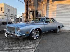 ビュイックリーガル  クーペ ランドゥー 外装ライトブルー 内装ブルー系 中古車画像