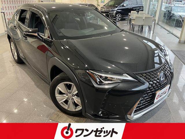 ＵＸ２５０ｈ　バージョンＣ　禁煙車　レクサスセーフティプラス　レーダークルーズ　クリアランスソナー　黒革シート　メモリパワーシート　シートヒーター　純正１７インチＡＷ　ステアリングヒーター　バックモニター　パドルシフト　ＥＴＣ