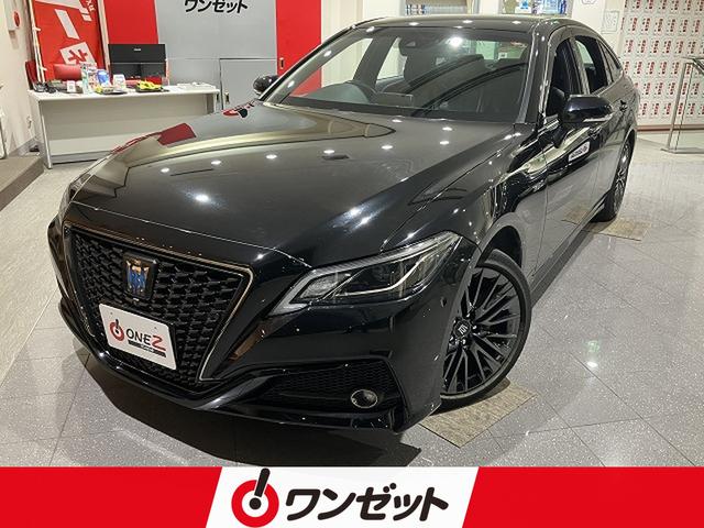 NEnCubh(g^) r@X|[cX^C@։ԁ@pm~bNr[j^[@p[LOT|[g@`bPOOu@g^Z[teBZX@vNbV@[_[N[Y@NAX\i[@uChX|bgj^[@I[gnCr[@dsb Îԉ摜