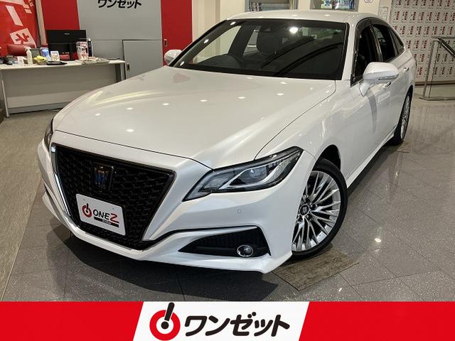 ȥ西 饦ϥ֥å ӡ쥬󥹥ɣɣɡر졡եƥѥåץ饹