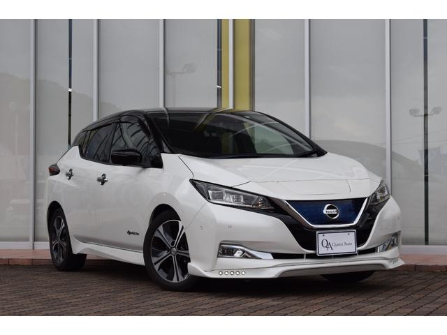 日産リーフ ZE1 フロントリップスポイラー HCS Racing ニッサン NISSAN LEAF 新型リーフ エアロ 通販 