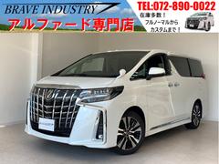 ȥ西եɡӡåѥåʡر