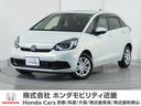 carPhoto