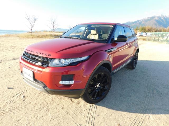 ɥС 󥸥С ԥ奢ףġʥӡХå˥