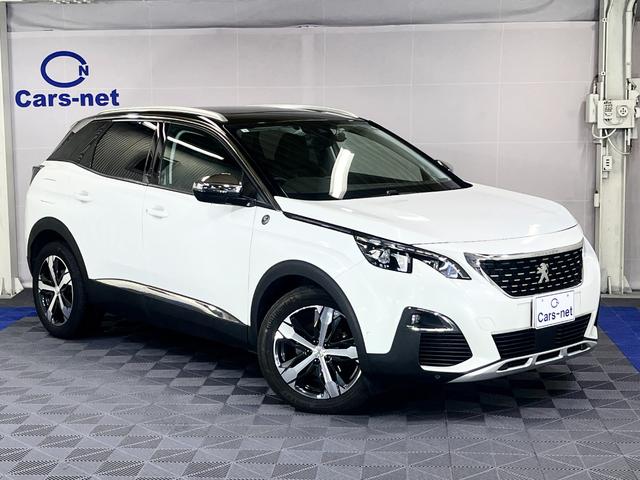 ץ硼  ƥ֥롼ȣģ顡ѥΥߥå롼աʥϥǥ