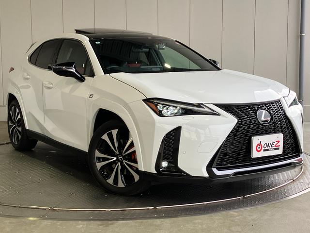 쥯 գ գأƥݡĥ⡼ʥ륨ץ顼롼աܳץȡ