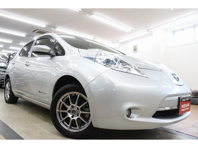 X(30kwh) LEDヘッドライト 12セグメント(1枚目)