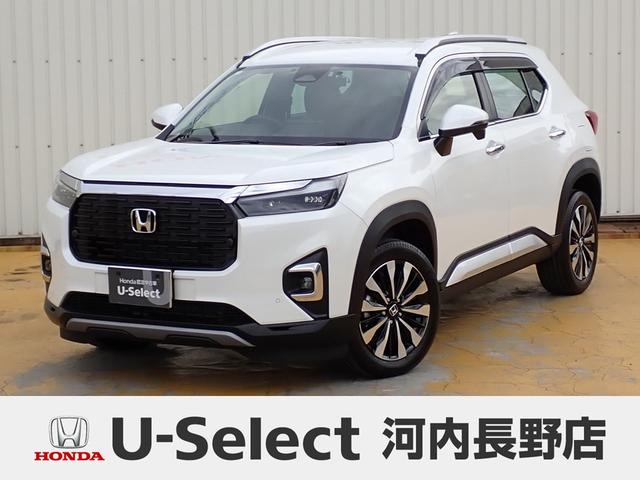 ףҡݣ ڡܡʥӡե륻ҥ 0706993A30251024W002 1