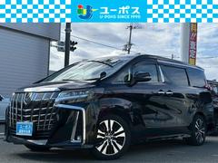 ȥ西եɡӡåѥåѥʥӡ롼