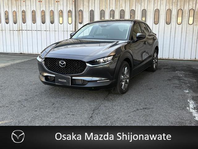 bw|RO(}c_) QOr@c[O@fJ[s̔@irr@RUOxj^[@S@uChX|bgj^[@dAQ[g Îԉ摜