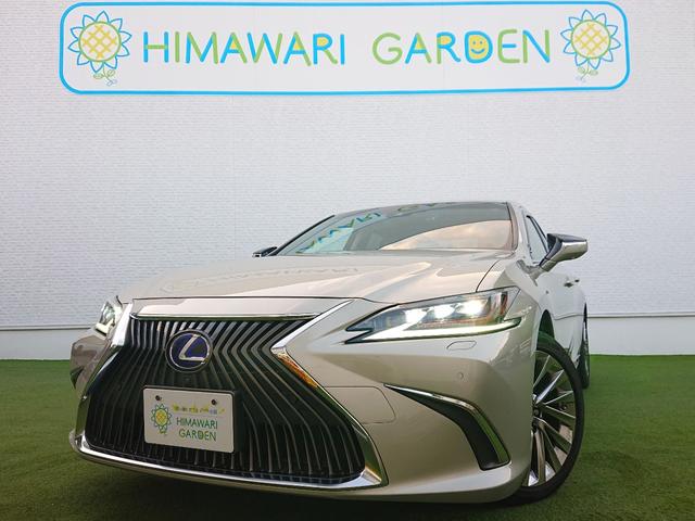 쥯 ţ ţӣ衡С̡ࡼ롼ա١ץ