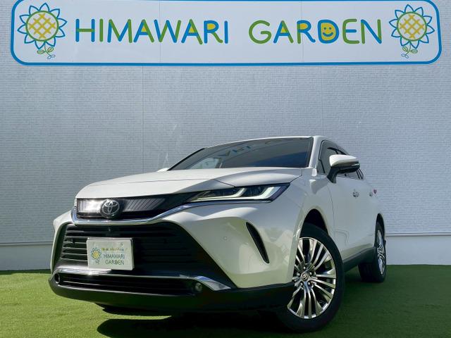 ͣͣåץǥ塼أ̣ΣģӣãУšʻŸ졪 ҤޤꥬǥŹܤϣݣݣ 1