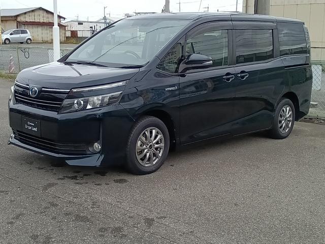 ȥ西  ϥ֥åɣ֡ʥӡХå˥ξ¦ư饤ɥɥ