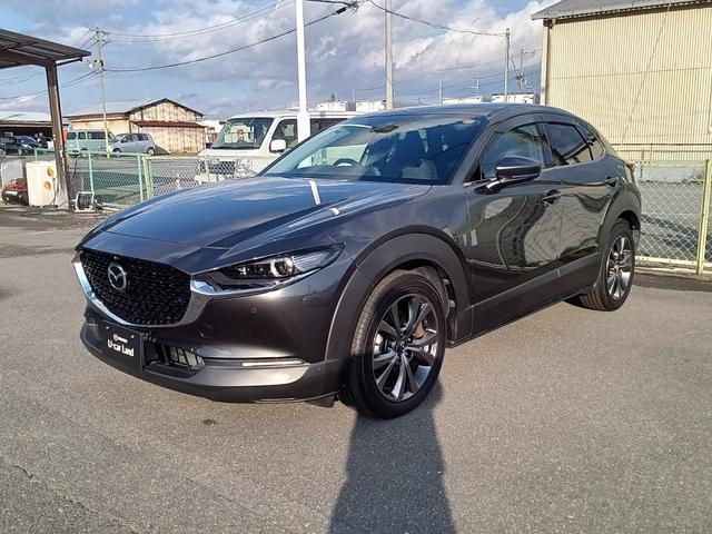 bw|RO(}c_) w@vANeBu@c[OZNV Îԉ摜