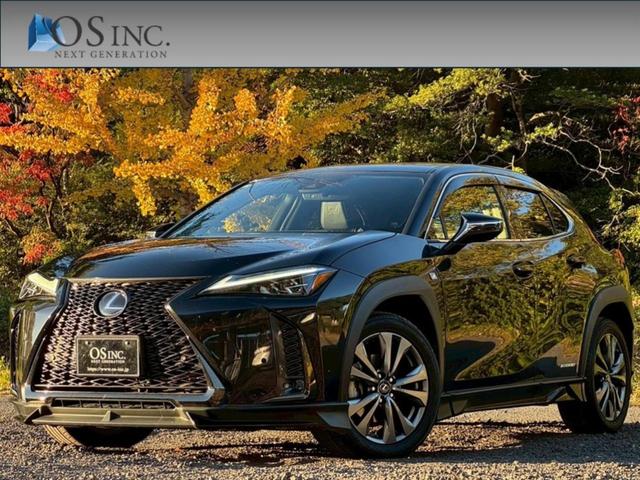 쥯 գ 衡ƥݡġͷڸ졼롼