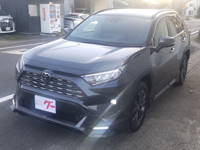 ＲＡＶ４(トヨタ) Ｇ　４ＷＤ　全周囲カメラ　クリアランスソナー　オートクルーズコントロール　レーンアシスト　パワーシート　衝突被害軽減システム　ナビ　ＴＶ　オートマチックハイビーム　ＬＥＤヘッドランプ　電動リアゲート 中古車画像