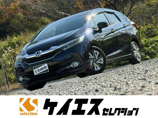 ۥ ȥ ϥ֥åɣءХå˥ȥ饤ȡȥ