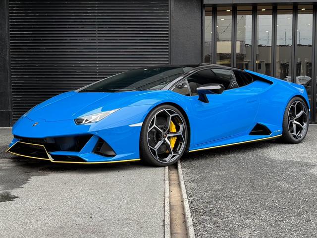 륫󥿡ϥɥ롡ǥ륤ʡߥ顼 եɥܥ󥤥ƥꥢѥͥ 1