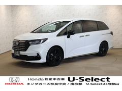 ǥåϥ֥å 塧ȣţ֥֥롼ȡţإ֥åǥ