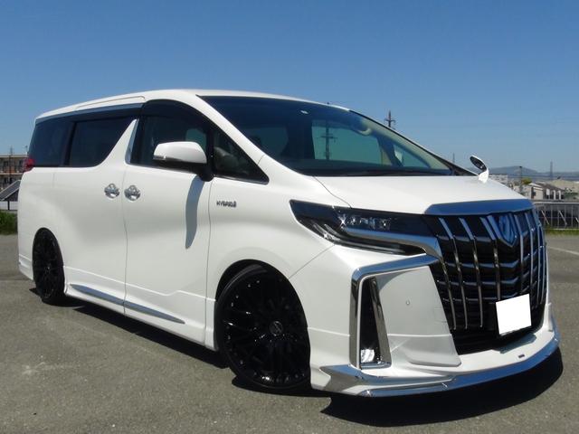 フルエアロ後期フェイス カールソン21インチ車高調後席モニタ(1枚目)