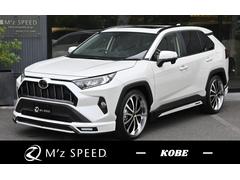 トヨタ　ＲＡＶ４　Ｘ　２ＷＤ　ＺＥＵＳ新車カスタムコンプリートカー　Ｆ