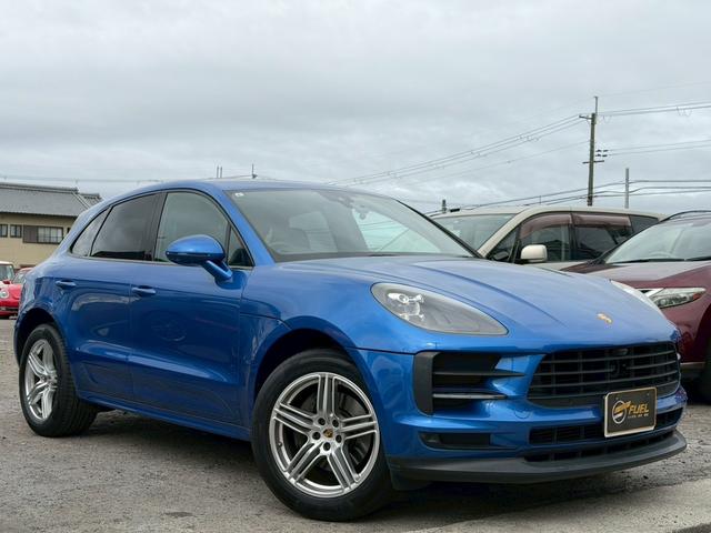 ƥѥ͡ҥѥͥĤߡ󥿡ե 1