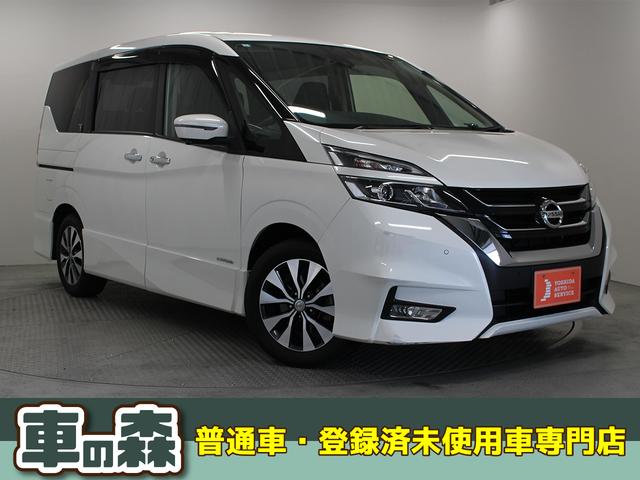  ϥ֥쥯ɣɡ꡼ʥӥ󡡥եåץ˥ 0708906A30251208W001 1