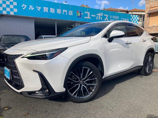ＮＸ２５０　バージョンＬ　サンルーフ　赤革シート　デジタルインナーミラー　メモリー付きパワーシート　パドルシフト　シートヒーター　ブラインドスポットモニター　パワーバックドア　ヘッドアップディスプレイ　バックカメラ