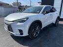 LEXUS LBX