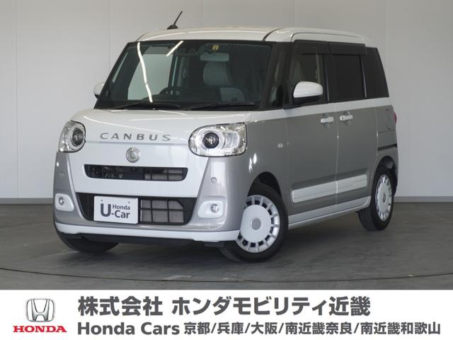 ストライプスＧターボ　１年保証ナビ全周囲カメＤレコＥＴＣ両電扉ＬＥＤ