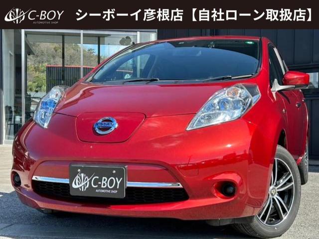 Ｓ（３０ｋｗｈ）　純正ＳＤナビ　フルセグ地デジＴＶ　ブルートゥース　バックカメラ　ビルトｉｎＥＴＣ　全席シートヒーター　ステアリングヒーター　ドライブレコーダー　ＧＰＳレーダー　社外１６インチアルミ