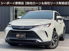 ȥ西ϥꥢǡ쥶ѥå󥪡ʡץ
