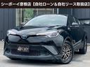carPhoto