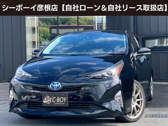 ȥ西 ץꥦ ҳʥӡ֥롼ȥƥ󥰥å