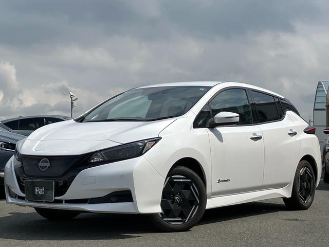 リーフ（日産）Ｘ　ナビ・シートヒーター・ＥＴＣ 中古車画像