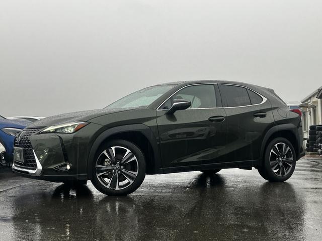 䡪ΧʤǤɾƤޤ ǥ顼ˤǼȥ᡼ݾڷѾդʤΤǥͥåȤǤ¿ 1