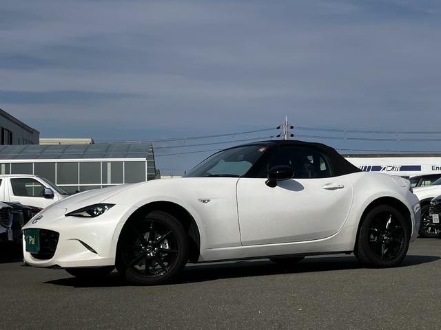 [hX^[(}c_) rU[pbP[W@irEsuEhREanrdEvV[gEdsbE[_[NREV[gq[^[EobNJ Îԉ摜