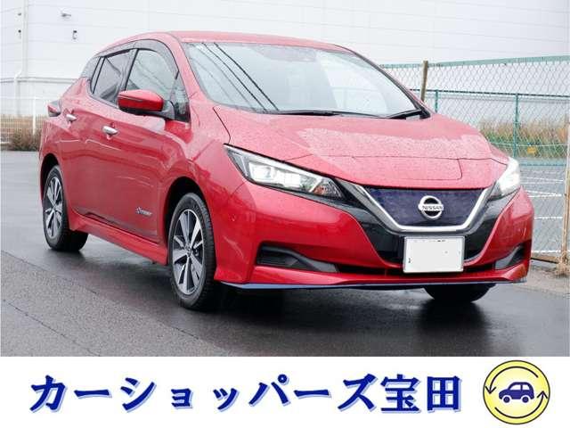 リーフ(日産) ｅ＋　Ｘ　１年保証　プロパイロットパーキング　フルセグＴＶ全方位カメラ付ナビ　Ｂｌｕｅｔｏｏｔｈオーディオ対応　前後ドラレコ 中古車画像