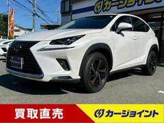 NX NX300 バージョンL 黒革シート/純正OP18インチAW/BSMセット/純正ナビ・地デジTV/Bモニター/レーダークルーズ/ドラレコ/ETC/シートヒーター・シートベンチレーション/パワーバックドア/ステアリングヒーター 中古車画像