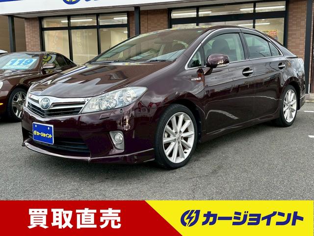 ȥ西 ӣ ǡӥѥå졼롼ȥ롡ʥ