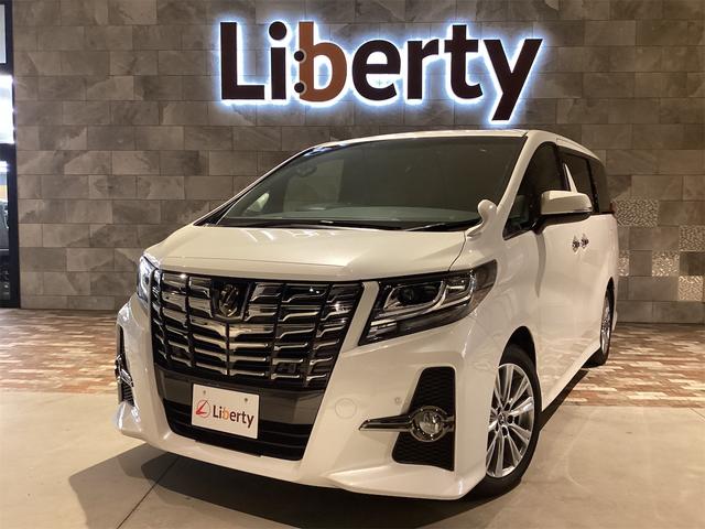 ナビ付♪家族でのお出かけや、趣味や旅行に如何ですか？ ＣＶＴ　アルミホイール　ＣＤ　ＤＶＤ再生　ＵＳＢ　Ｂｌｕｅｔｏｏｔｈ