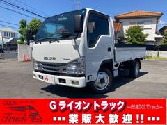 いすゞ　エルフトラック　４ＷＤ　カスタム　２ｔ積　平