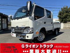 ダイナトラック 1t積・Wキャブ・プリクラ・ワンオーナー・5MT・ナビ付 1t積・Wキャブ・プリクラ・ワンオーナー・5MT・ナビ付・バックカメラ・全席パワーウィンドウ・左右電格ミラー・ミラーヒーター・ETC・リアヒーター&クーラー・荷台内寸 L2100 W1610 H380 中古車画像