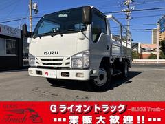 エルフトラック 3t積・垂直パワーゲート・荷台鉄板張り・6MT・バックカメラ 3t積 極東製垂直パワーゲート 昇降能力600kg 荷台鉄板張り 6MT バックカメラ 坂道発進補助装置 左電格ミラー フォグランプ キーレス ドアバイザー ライトレベライザー 中古車画像