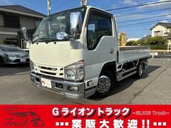 エルフトラック 2t積・平・AT・メッキパーツ・全低床・検査付 2t積・平・AT・メッキパーツ・全低床・フルセグナビ・左電格ミラー・フォグランプ・シートカバー・キーレス・ゲートチェーン・ホイールキャップ・荷台内寸 L3110 W1605 H380 中古車画像